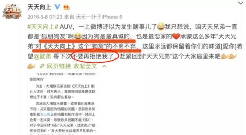 如何判断娱乐圈爆料的真实性,娱乐圈爆料真实性判断指南